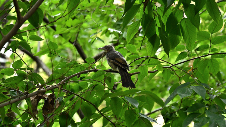 D5003_081574