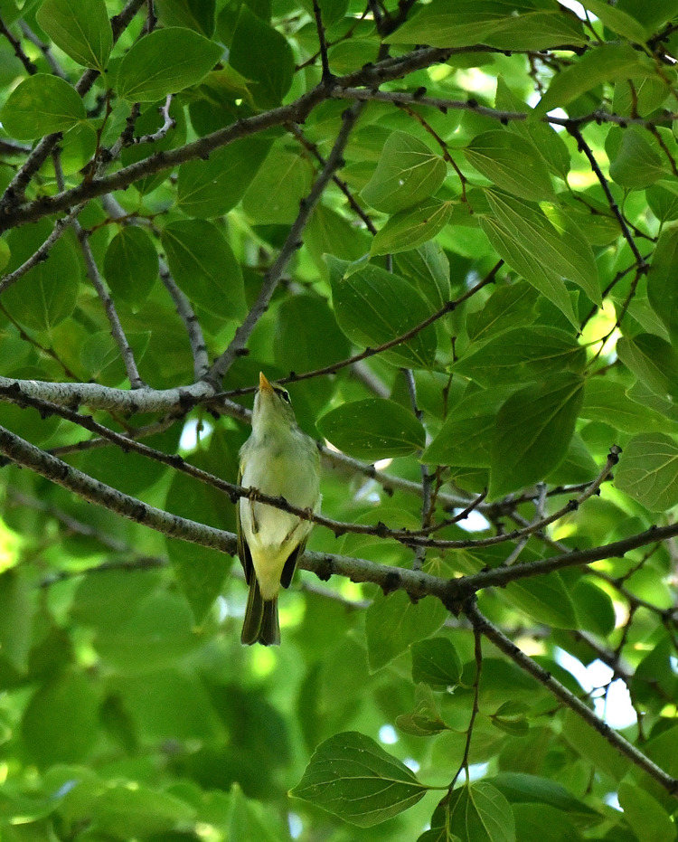 D5003_076882