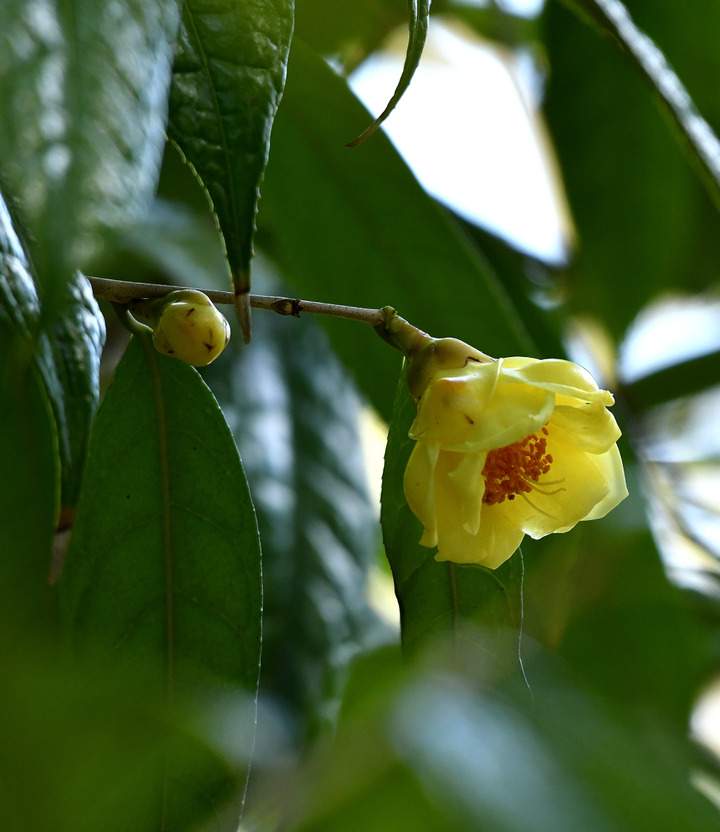 D5003_031284