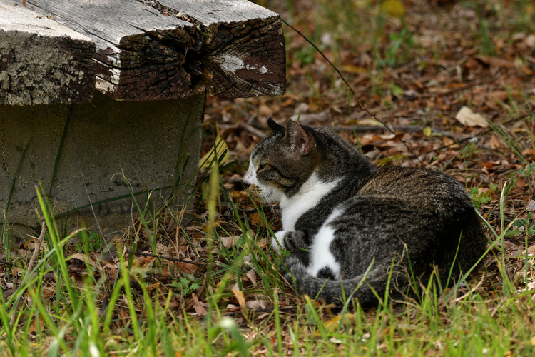 D5003_083665