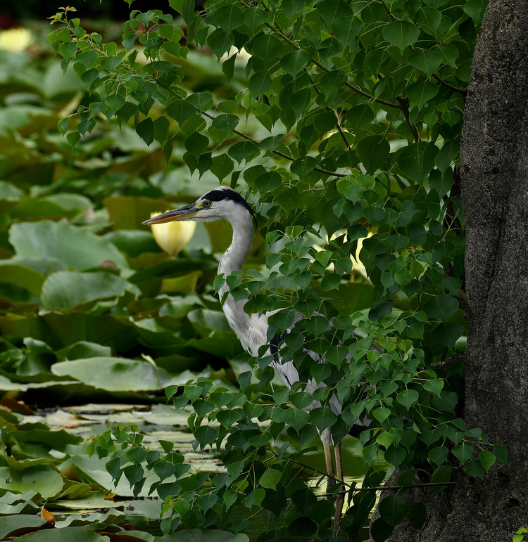 D5003_079388