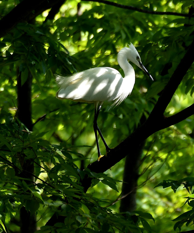 D5003_076977