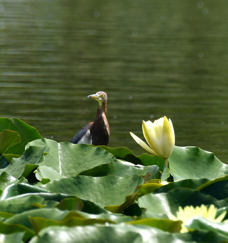 D5003_077314