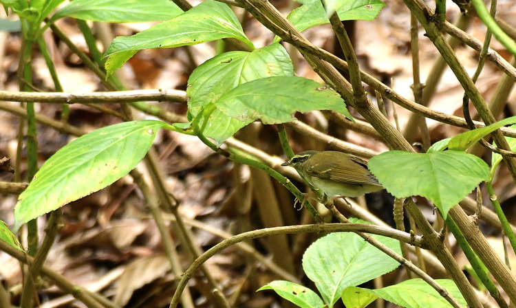 D5003_082948
