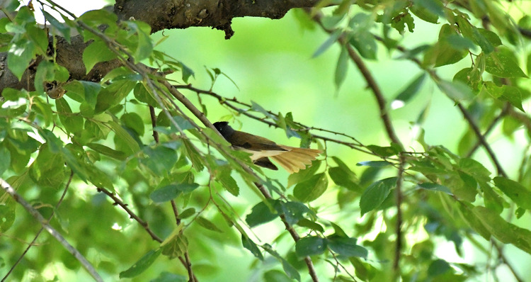 D5003_081660