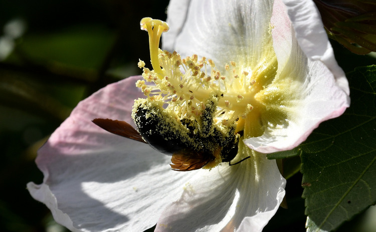 D5003_110841