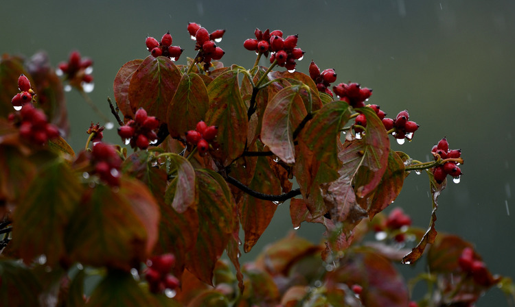 D5003_106574