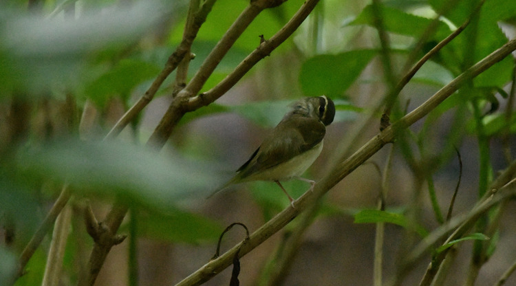 D5003_083125