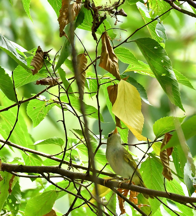 D5003_080489