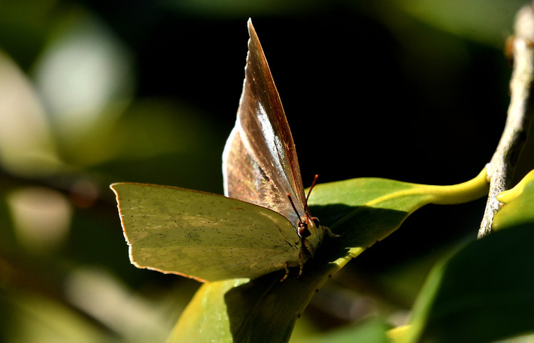 D5003_118533