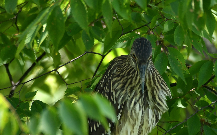 D5003_078380