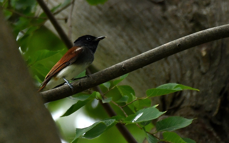 D5003_085502