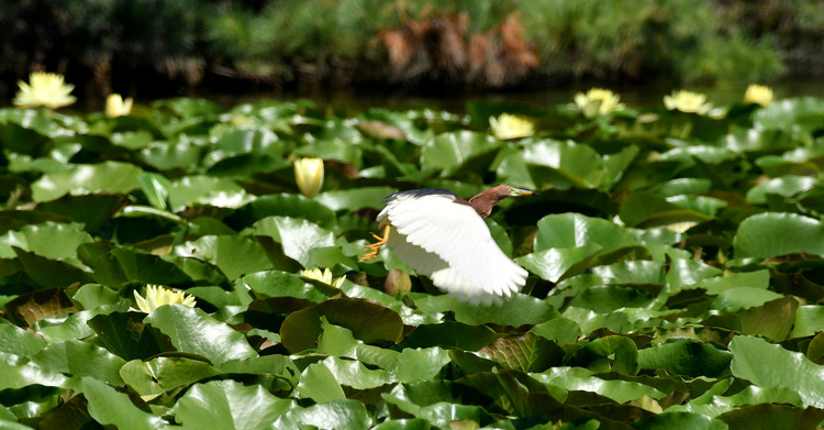 D5003_077570