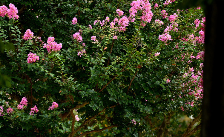 D5003_080669