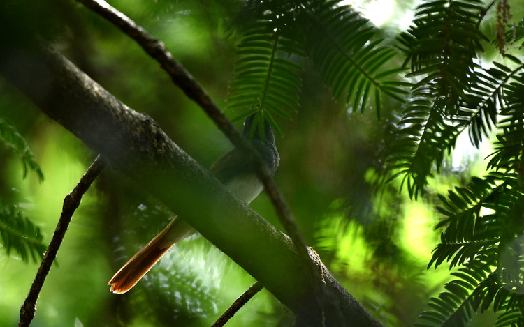 D5003_079150