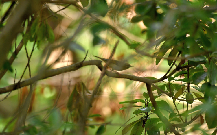 D5003_083299