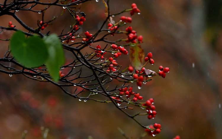 D5003_112654