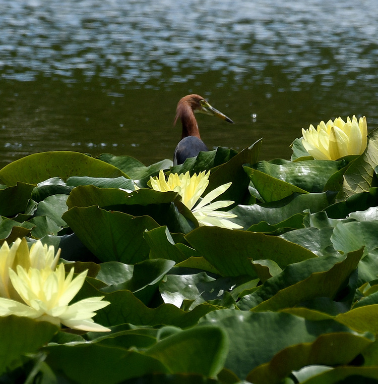 D5003_078981
