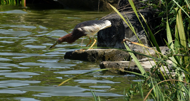 D5003_077651