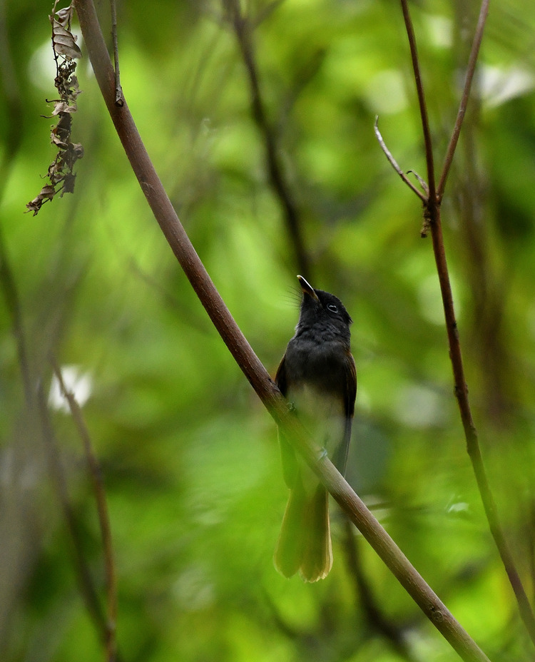 D5003_079569