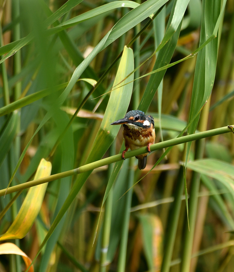 D5003_083735