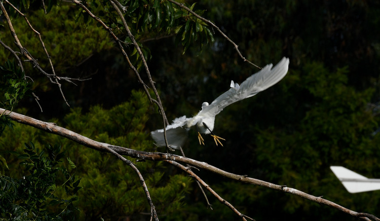 D5003_080094