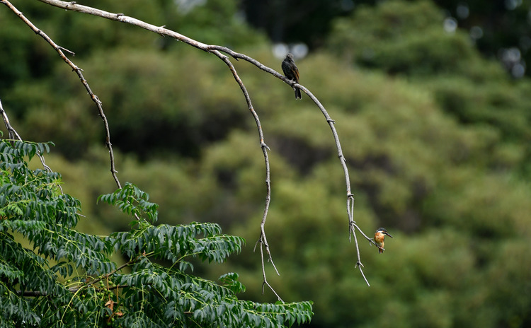 D5003_079803