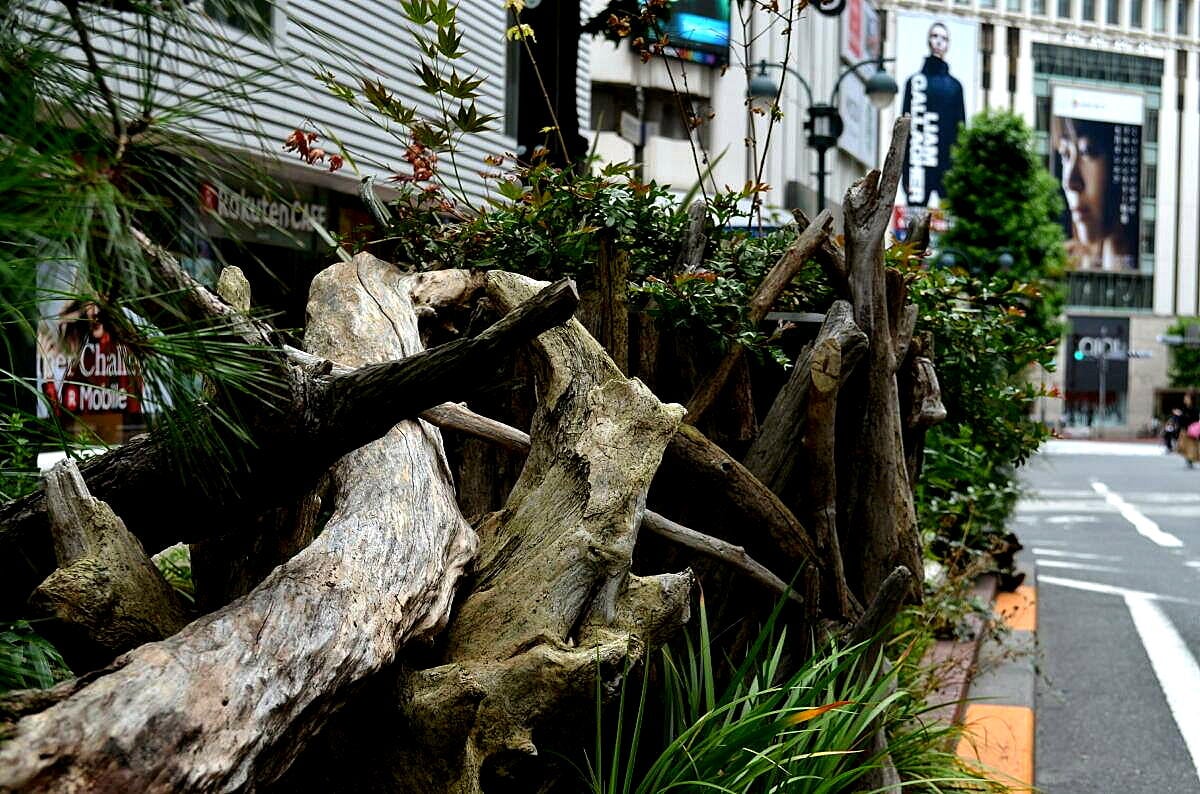 渋谷区 ゆきおの日記帳