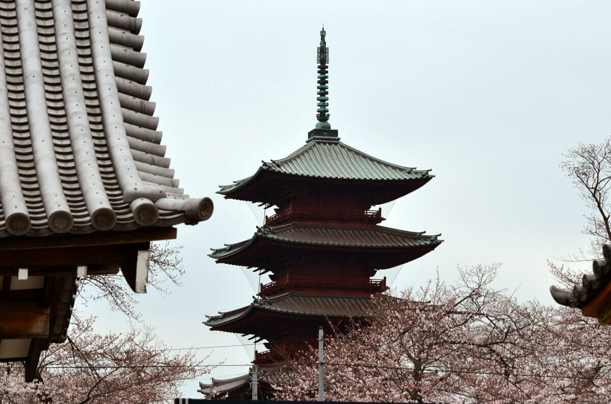 19年03月 ゆきおの日記帳 19年03月 ゆきおの日記帳
