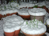 雪2012.01.24