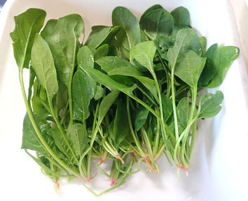 ソロモン2019.12.23