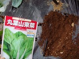 丸葉山東菜08.09.27.jpg