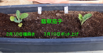 �ǿ�ػ�2026.05.10