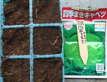 キャベツ種まき2010.07.29.jpg