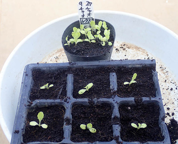 ���㥪���㥪�쥿��2019.10.21