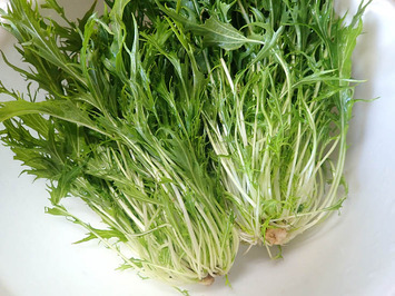 サラダミズナ2020.01.06