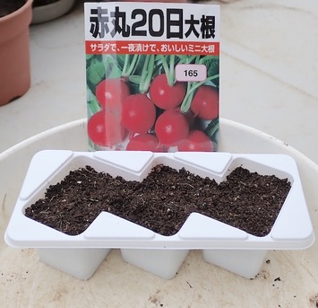 20���纬��20926.04.29