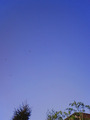 赤とんぼ2011.08.28.