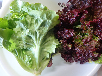 チャオチャオ2020.01.06