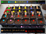 種まき08.03.22