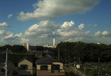 夏がまた2011.08.24