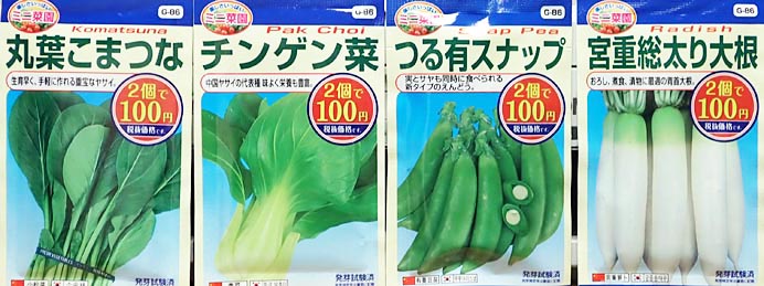 100均 ダイソー の種 Heyモーの家庭菜園を楽しむ 100均 ダイソー の種 Heyモーの家庭菜園を楽しむ