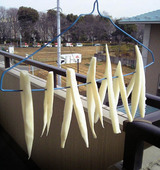 ど根性ダイコン干し