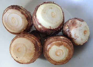 来年用の種芋2019.12.29