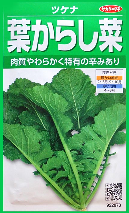 サラダのトッピング収穫 ミズナ を浸水 葉からし菜 の種 Heyモーの家庭菜園を楽しむ サラダのトッピング収穫 ミズナ を浸水 葉からし菜 の種 Heyモーの家庭菜園を楽しむ