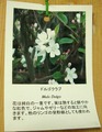 ドルゴクラブ2012.04.25