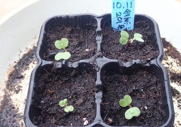 ���201.2019.10.21