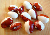 トラ豆2010.07.28.jpg