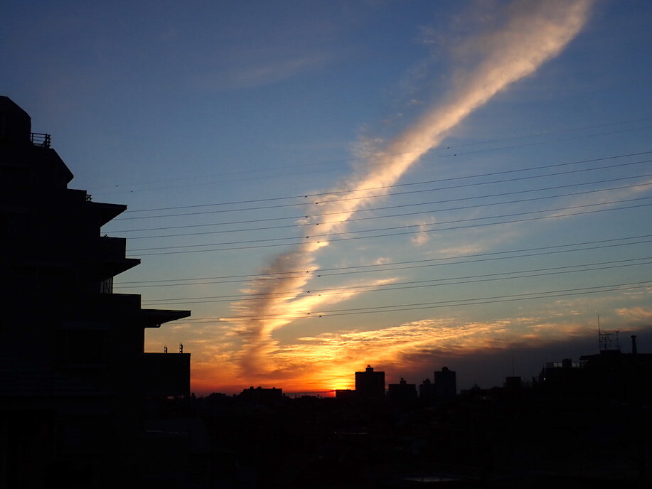 トマトの催芽を始めました ポンテローザ アイコ ミディアムルビー Heyモーの家庭菜園を楽しむ