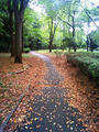 w60分ウォーキングコース20120.10.30.